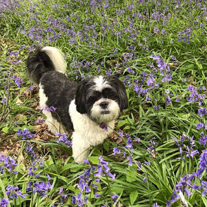 Meet your Posher, Gabi.rosexox